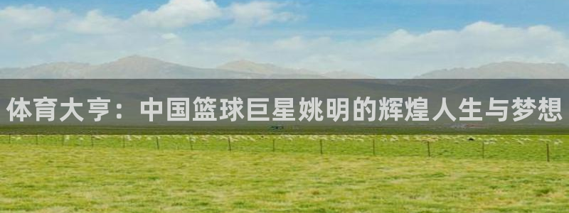 JJB竞技宝官方正版app官方:体育大亨:中国篮球巨星姚明的