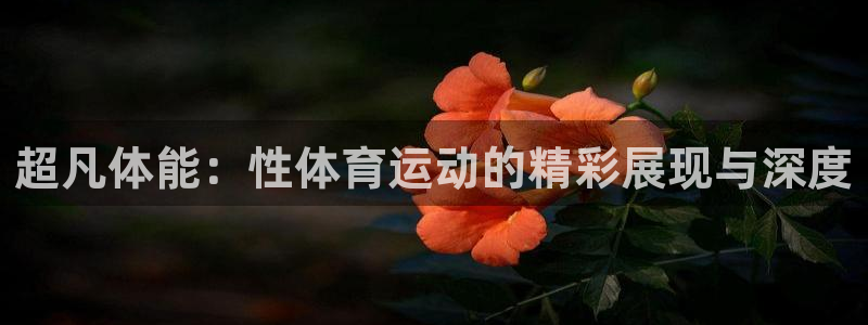 JJB竞技宝官方正版app娱乐首页网站大全:超凡体能:性体育